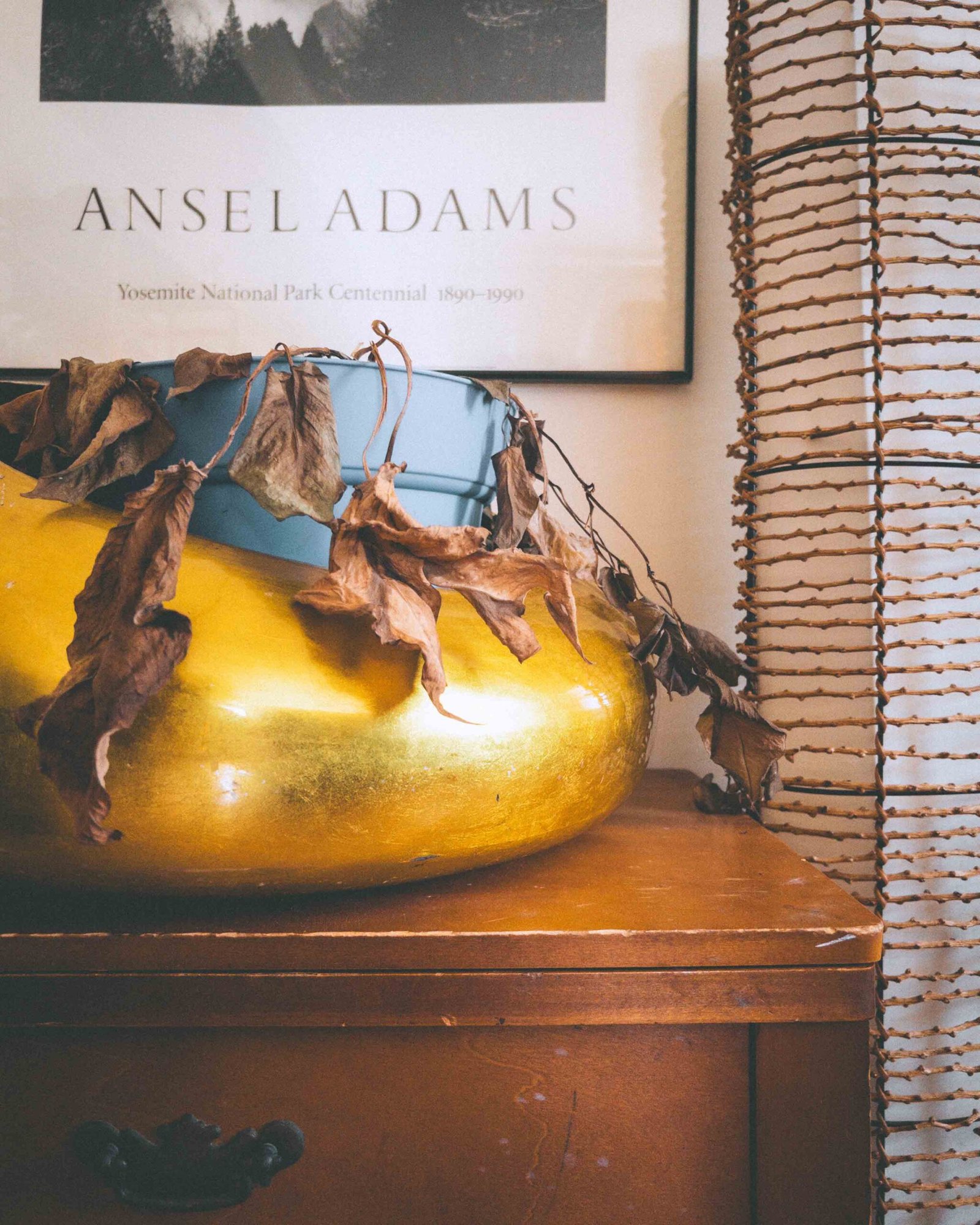 Gold decorative vase with dried leaves and blue pot beneath Ansel Adams photography print.