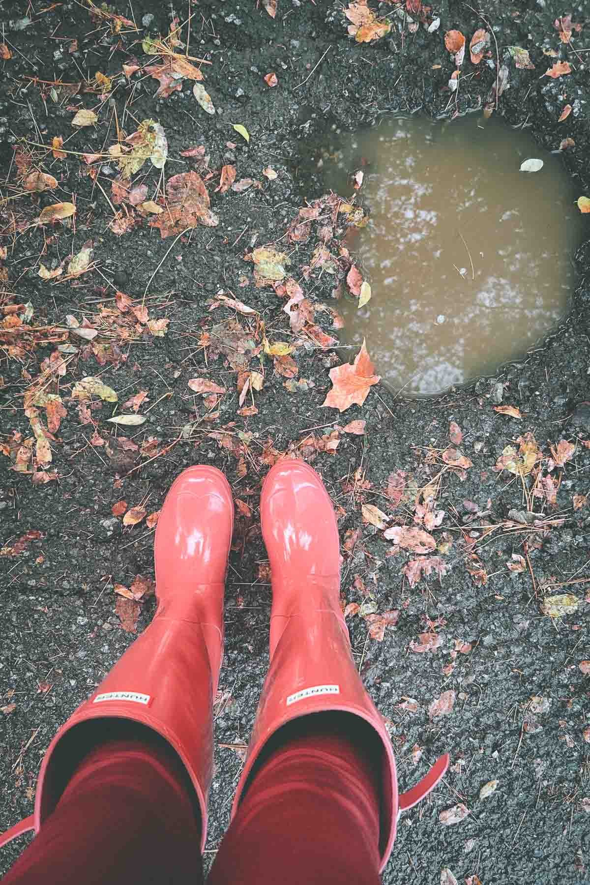Rose rain boots beside a muddy puddle surrounded by fallen leaves — a cinematic moment of resilience and new beginnings.
