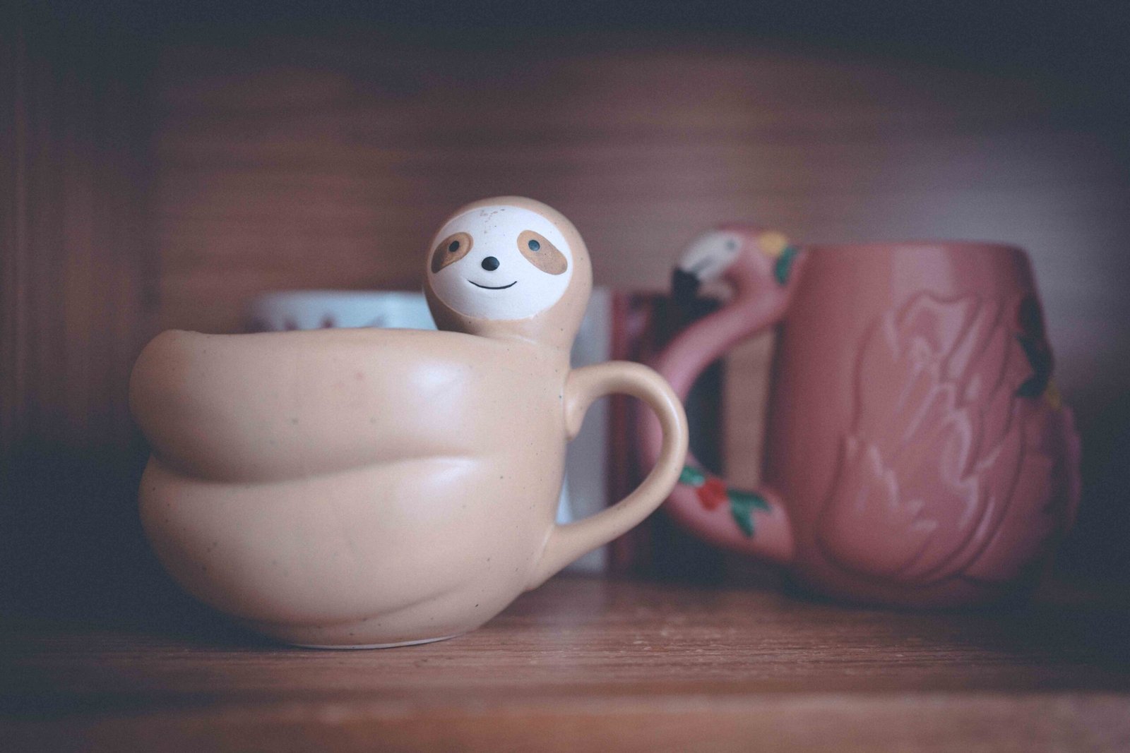 Sloth-shaped mug on a wooden shelf, photographed as part of a cozy morning coffee ritual.