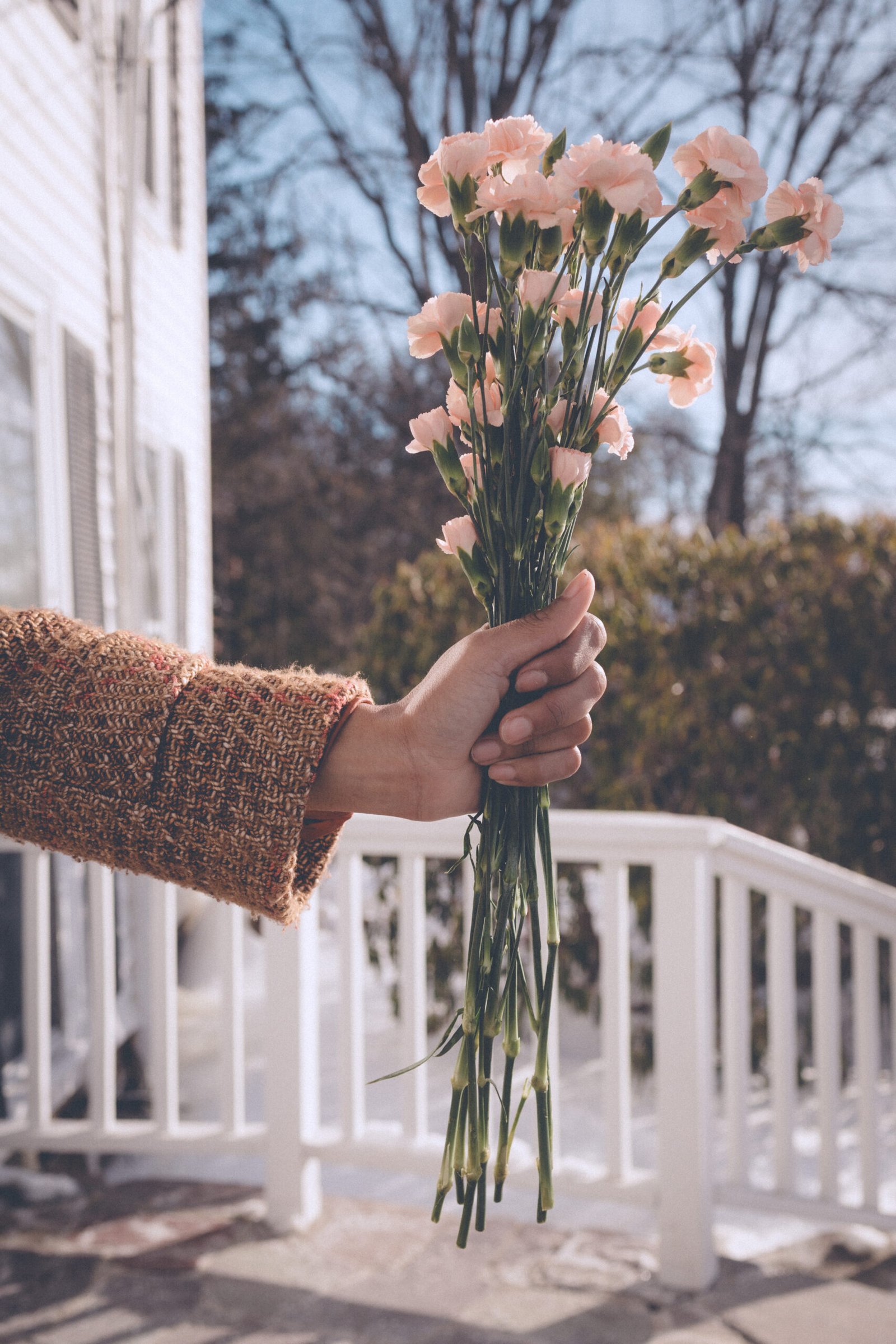Hand holding pink carnations outdoors on Valentine’s Day, representing buying yourself flowers and practicing self love.