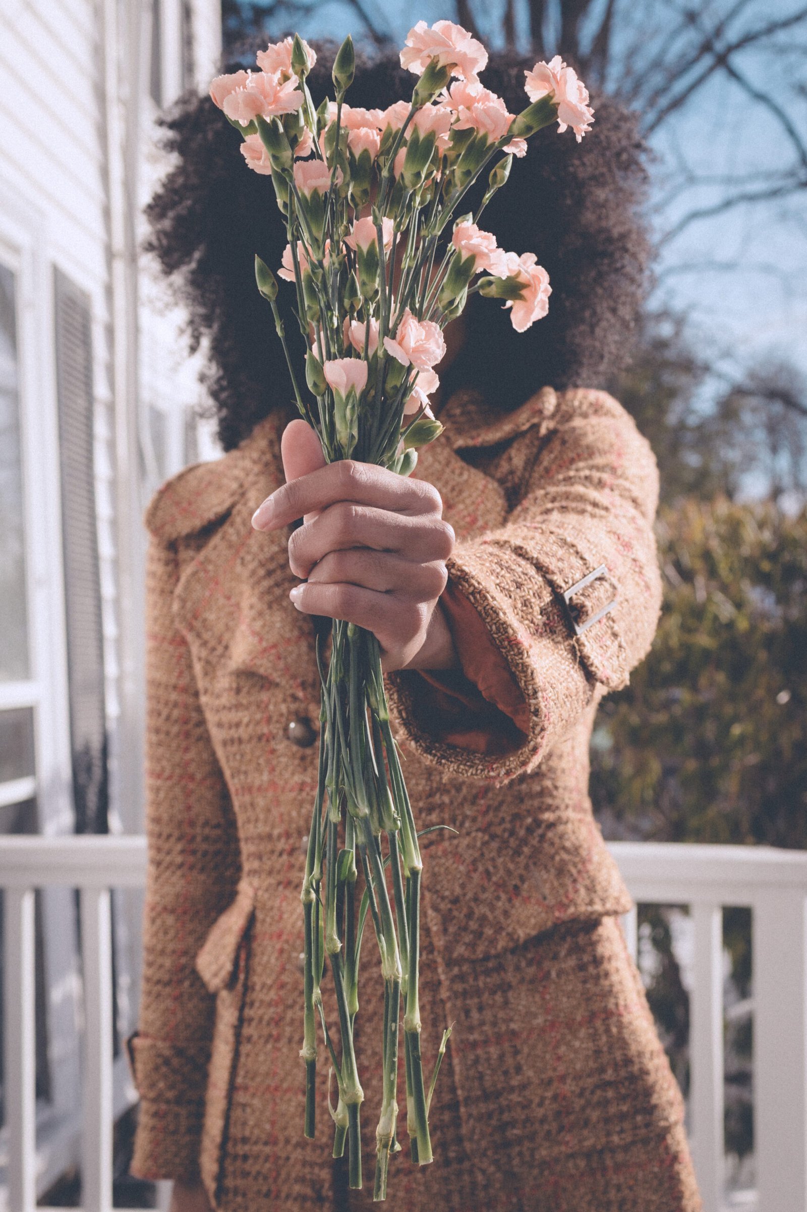Pink carnations extended toward the camera on Valentine’s Day, symbolizing love, longing, and choosing oneself.